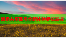 海角共享账号全新体验尽在掌握