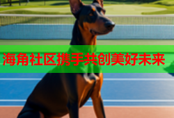 海角社区携手共创美好未来