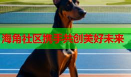 海角社区携手共创美好未来