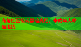 海角社区惊现黑暗真相，未成年人命运堪忧