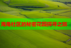 海角社区的秘密花园探寻之旅