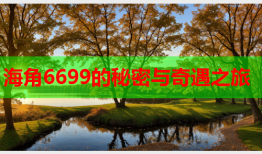 海角6699的秘密与奇遇之旅