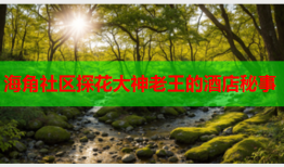海角社区探花大神老王的酒店秘事