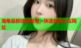 海角最新域名查询，快速找到心仪网址