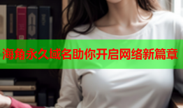 海角永久域名助你开启网络新篇章