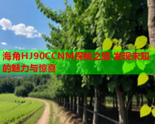 海角HJ90CCNM探秘之旅 发现未知的魅力与惊喜