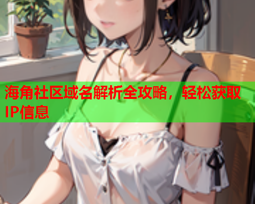 海角社区域名解析全攻略，轻松获取IP信息