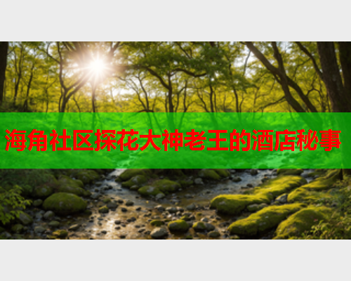 海角社区探花大神老王的酒店秘事