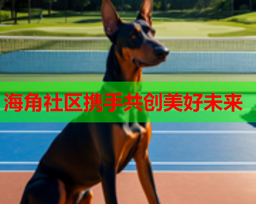 海角社区携手共创美好未来